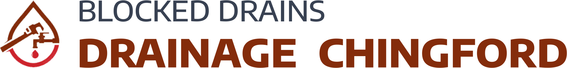 website logo